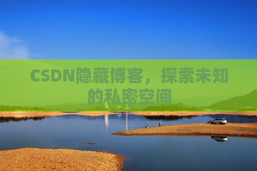 CSDN隐藏博客，探索未知的私密空间